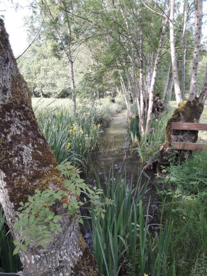 Le Logis De Lange Apt Les Aigrettes Saint-Hilaire-la-Palud Экстерьер фото