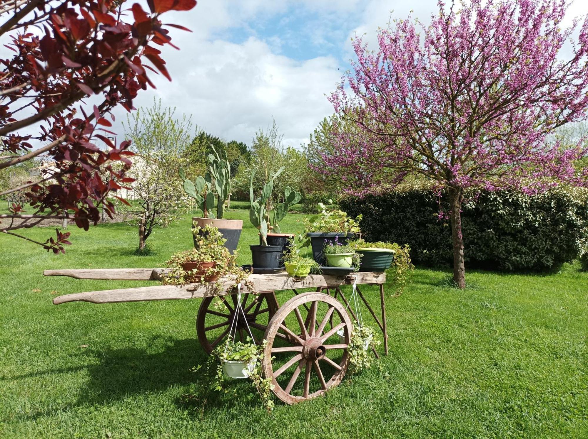 Le Logis De Lange Apt Les Aigrettes Saint-Hilaire-la-Palud Экстерьер фото